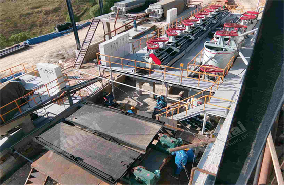 West Asia Region-300tpd-Gold-Processing-Plant